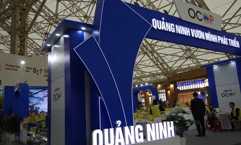 Quảng Ninh: Diện mạo mới, hướng đi mới trong tiến trình phát triển ở xã Đường Hoa