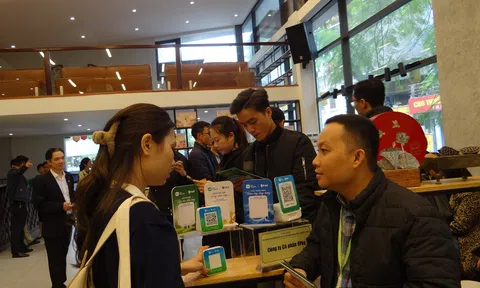 Trợ thủ đắc lực cho hộ kinh doanh: Giải pháp Tingting của 9Pay