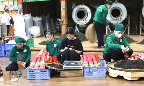 Đạt chuẩn cấp Quốc gia và niềm tin giữ vững danh hiệu (Bài 4)