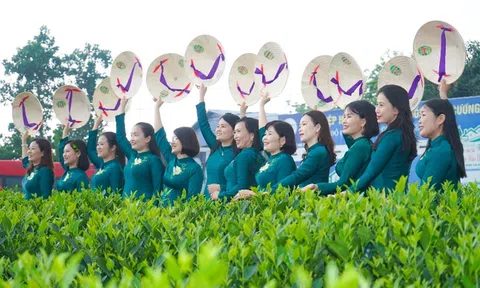 Trải nghiệm du lịch nông nghiệp trên nương chè Hảo Đạt (Bài 5)