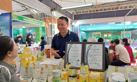 Xây dựng thương hiệu nông sản xanh và phát triển kinh tế nông thôn bền vững ở HTX nông sản Thanh Tùng