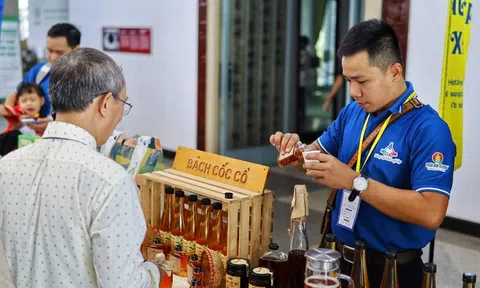Những người trẻ khởi nghiệp dựng xây kinh tế quê hương