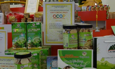 Bột rau Má đậu xanh Duy Xuyên - Thức uống dinh dưỡng từ vùng đất Miền Trung