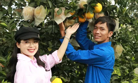 Cam Bảo Phương - Hương vị đặc sản - OCOP của miền trung du Hà Tĩnh