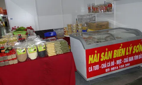 Hải sản Lý Sơn – Tinh hoa của biển đảo giữa trùng khơi