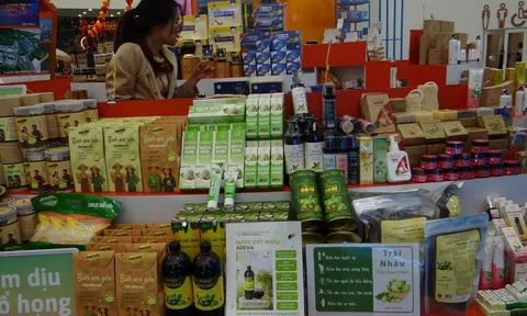 Nước cốt trái nhàu - Thức uống tăng cường sức khỏe từ trái cây nhiệt đới