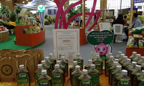 Nước cốt chanh Đồng Tháp - Thức uống tinh khiết từ miền đất sen hồng