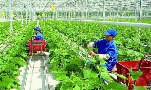 Tín dụng xanh trong phát triển kinh tế xanh