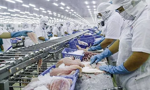 Hàng chục doanh nghiệp Việt sang Mỹ tìm đối tác, nhắm mục tiêu 6 tỷ USD