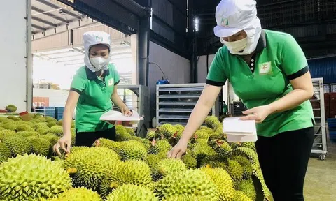 Tận dụng thời cơ, tăng tốc để đạt tăng trưởng 8% trở lên