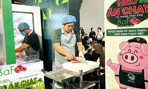 “Heo ăn chay” đột phá lợi nhuận quý II/2025: Mở rộng chuỗi chăn nuôi công nghệ cao