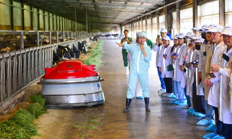 Vinamilk “mở khóa tự nhiên” ở trang trại Green Farm để phát triển bền vững