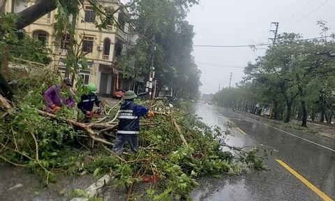 Công ty Cổ phần Môi trường và Công trình đô thị Nghệ An nhanh chóng khắc phục, đảm bảo vệ sinh môi trường sau bão