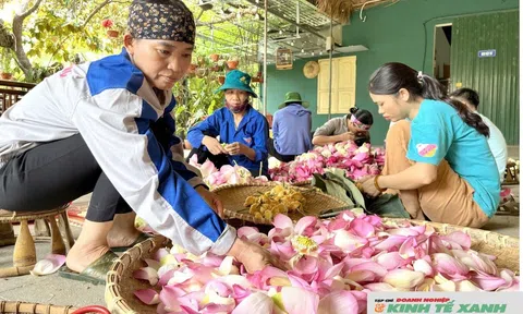 Nâng cao năng lực chuyển đổi số cho thành viên HTX để góp phần xây dựng NTM thông minh