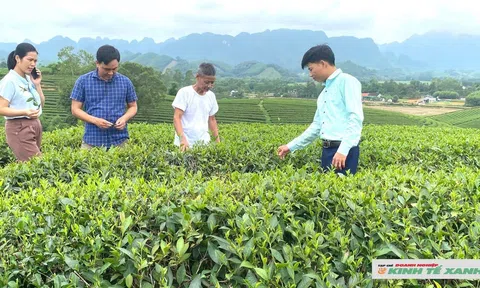 Nghệ An mong muốn JICA tiếp tục hỗ trợ các dự án chống biến đổi khí hậu và phát triển bền vững