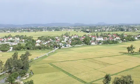 Tập đoàn T&T chuẩn bị thực hiện dự án khu đô thị 33.700 tỷ đồng tại Nghệ An