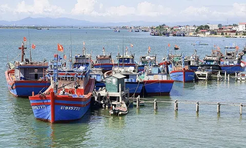 Chính quyền và ngư dân Quảng Trị đồng lòng, quyết tâm gỡ "thẻ vàng" EC