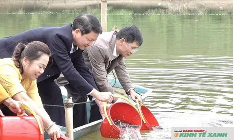 Nghệ An: Thả cá tái tạo nguồn lợi thuỷ sản trên lòng hồ thuỷ điện