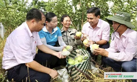 Nguồn vốn vay ưu đãi của Ngân hàng Chính sách Xã hội - "Bệ đỡ" giúp người dân xứ Nghệ vươn lên thoát nghèo