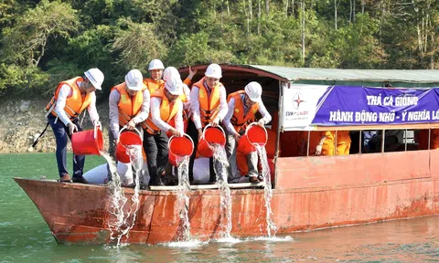 Thả cá tái tạo nguồn lợi thuỷ sản: Hành động nhỏ - ý nghĩa lớn