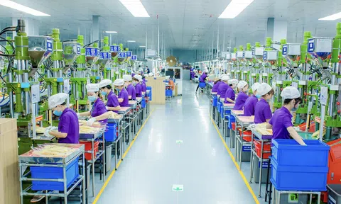 Sản xuất sạch và quản lý chất thải đúng quy định để hướng đến kinh tế xanh