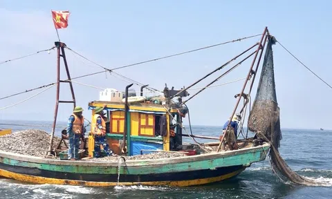 Bộ Nông nghiệp và Môi trường làm việc với tỉnh Nghệ An về chống khai thác hải sản bất hợp pháp IUU