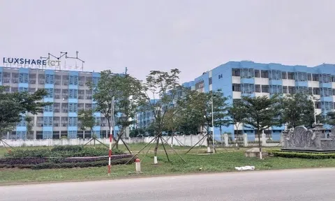 Nghệ An ưu tiên phát triển nhà ở xã hội có giá phù hợp với công nhân và người thu nhập thấp