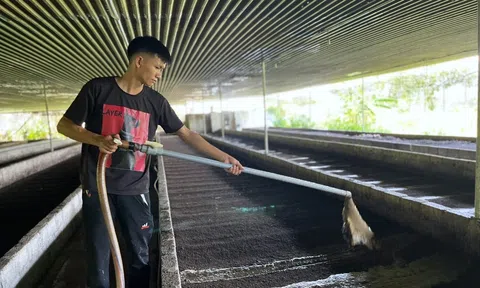 Hướng đi mới cho nền nông nghiệp tuần hoàn ở Thanh Chương