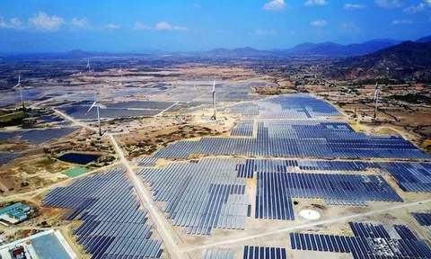 Cơ hội nâng cao năng lực cạnh tranh cho các ngành nghề