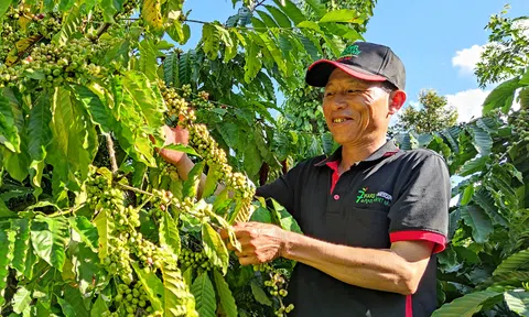 Gia tăng giá trị từ mô hình cà phê cảnh quan