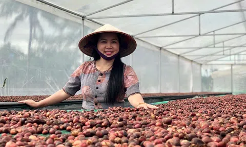 Doanh nhân Dương Thị Sơn Long: Giữ gìn văn hóa truyền thống từ thương hiệu “Uyên Phương Coffee”