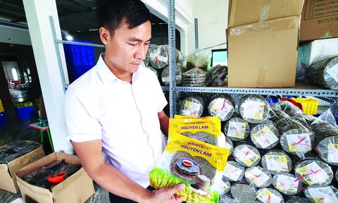 Người đưa bánh đa vừng Hà Tĩnh xuất ngoại