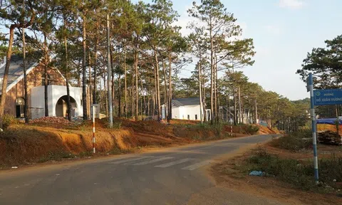 Kon Tum: Chuyển công an điều tra vụ làm dự án biệt thự trên đất rừng Măng Đen