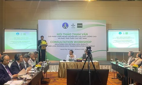 Giải pháp hỗ trợ chuyển đổi sản xuất lúa chất lượng cao và phát thải thấp ở Việt Nam