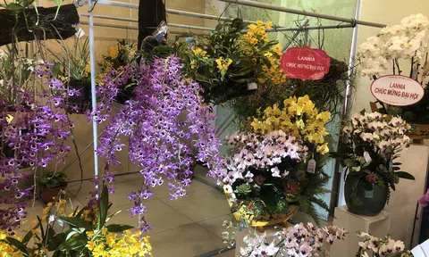 Đại hội thành lập Hiệp hội Sản xuất và Kinh doanh hoa lan Việt Nam