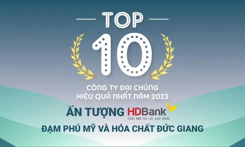 TOP 10 công ty đại chúng hiệu quả nhất năm 2023:  Ấn tượng HDBank, Đạm Phú Mỹ và Hóa dầu Đức Giang