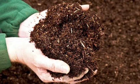 Tăng cường sản xuất, sử dụng phân bón hữu cơ dùng các nguồn nguyên liệu tại chỗ góp phần phát triển một nền nông nghiệp bền vững