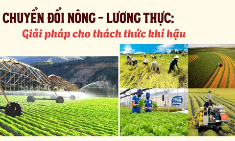 Chuyển đổi nông - lương thực: Giải pháp cho thách thức khí hậu