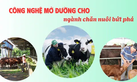 Công nghệ mở đường cho ngành chăn nuôi bứt phá