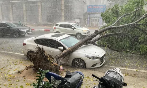 Doanh nghiệp bảo hiểm tăng tốc chi trả sau bão lũ, hỗ trợ người dân sớm hồi phục thiệt hại