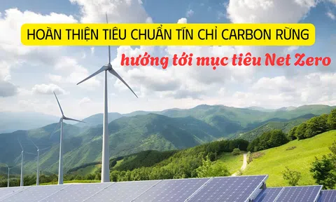 [Emagazine] Hải Phòng “chạy nước rút” cho các dự án năng lượng xanh