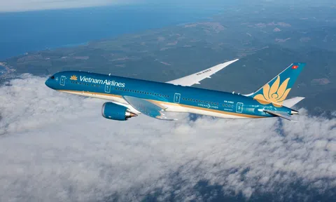 Vietnam Airlines gặp sự cố lộ dữ liệu khách hàng, khẳng định thông tin nhạy cảm vẫn an toàn