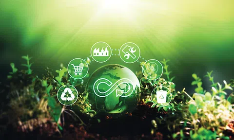 Kinh tế tuần hoàn mở lối cho hàng Việt thâm nhập thị trường quốc tế