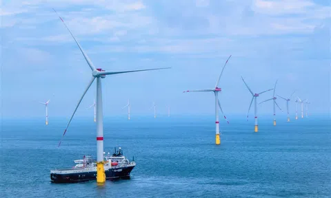Doanh nghiệp Anh tăng tốc đầu tư điện gió ngoài khơi tại Việt Nam