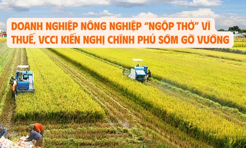 Doanh nghiệp nông nghiệp “ngộp thở” vì thuế, VCCI kiến nghị Chính phủ sớm gỡ vướng