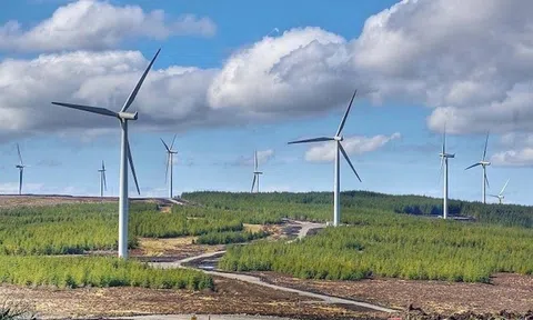 Đan Mạch đồng hành cùng Việt Nam trên hành trình chuyển đổi xanh bền vững