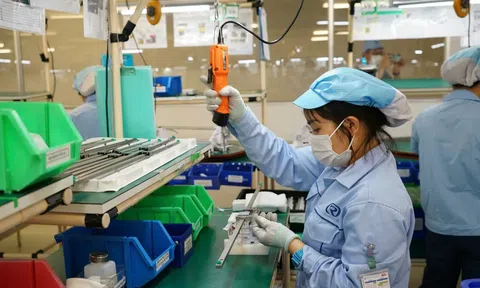 Đề xuất ưu đãi vay 0% thúc đẩy đầu tư hạ tầng số ở vùng dân tộc và hải đảo