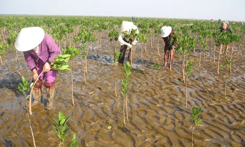 Việt Nam trước bài toán sinh tồn của biến đổi khí hậu