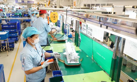 Xem xét nâng ngưỡng doanh thu chịu thuế: Hộ kinh doanh có thể được giảm gánh nặng