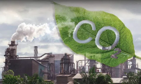 Việt Nam hướng tới tín chỉ carbon chất lượng, thúc đẩy tăng trưởng xanh